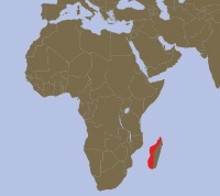 mappa_iguana-spinosa-Madagascar