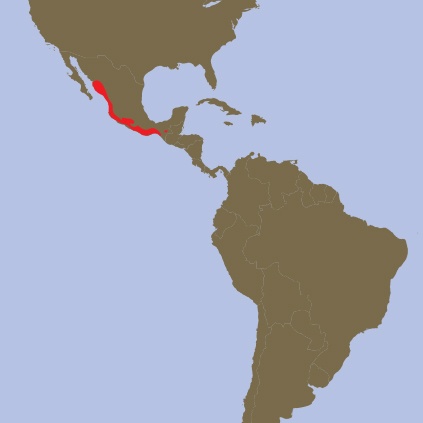 mappa oranghi