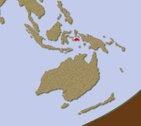 Cacatua delle Molucche