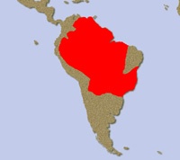 Tapiro sudamericano