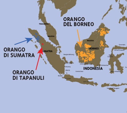 mappa oranghi
