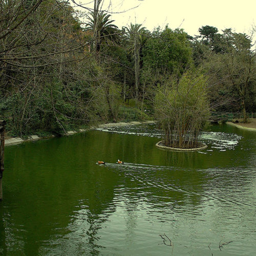 oasi-del-lago12