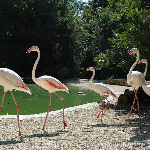 oasi-del-lago4