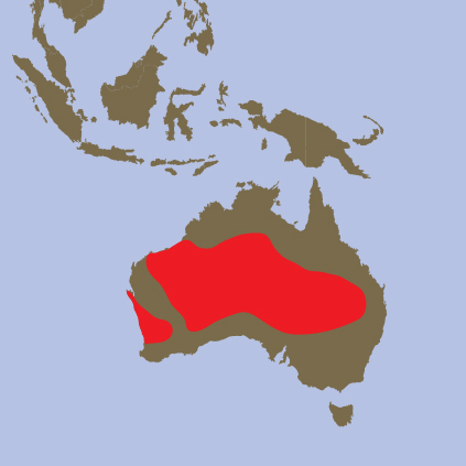 mappa oranghi