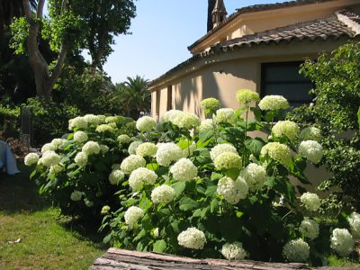 giardino botanico